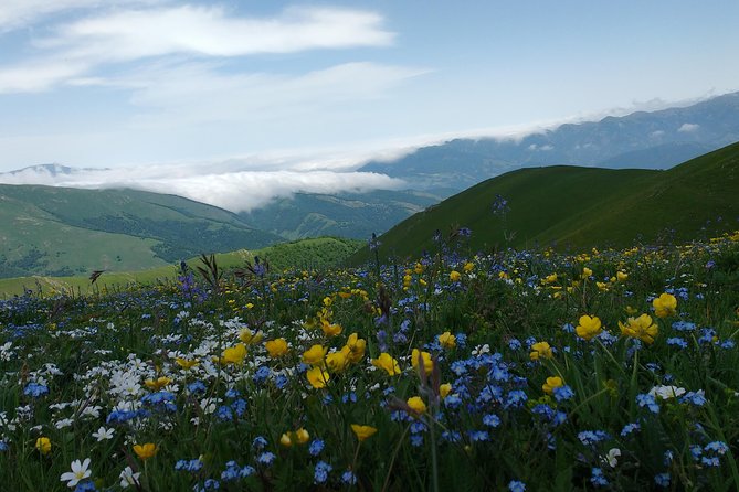 Daily Jeep Tour in Areguni Mountains - The Sum Up