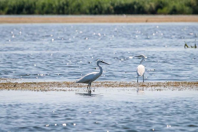 Danube Delta - 2-Days Shared Tour From Bucharest - Inclusions and Exclusions