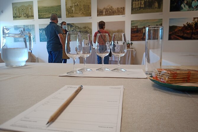 Dao Wine Route Experience, Full-Day From Coimbra - Safety and Accessibility