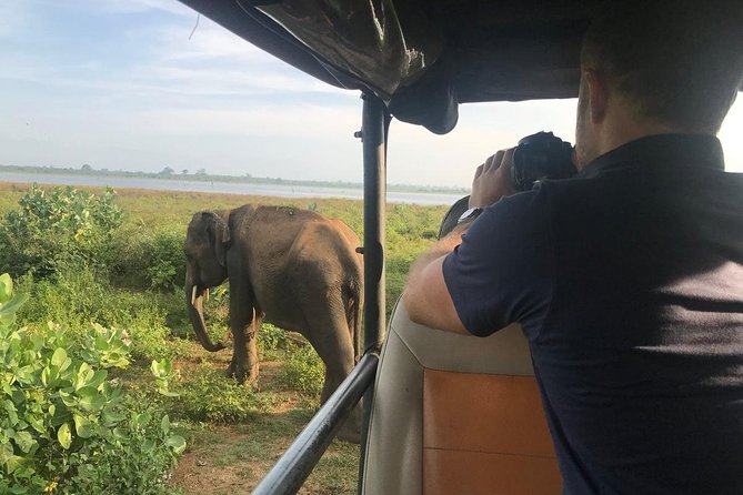 Day Excursions to Udawalawe From Bentota - Booking, Pricing, and Cancellation Policy