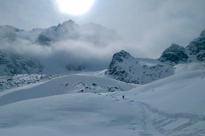 Day Hiking to Bogdanovich Glacier - Wildlife Encounters