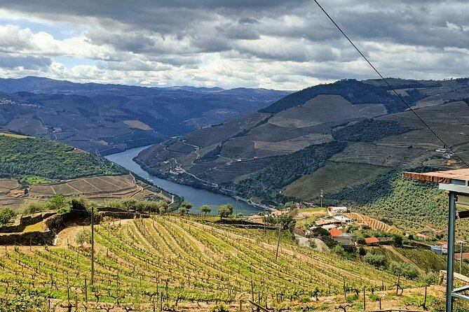 Day Tour From Porto to Douro Valley, 2 Winery`S, Lunch & Boat - The Sum Up