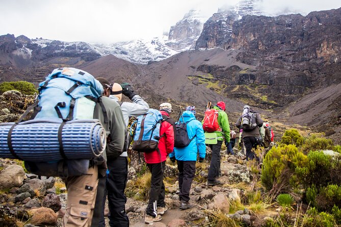 Day Tour Marangu Kilimanjaro - Additional Information