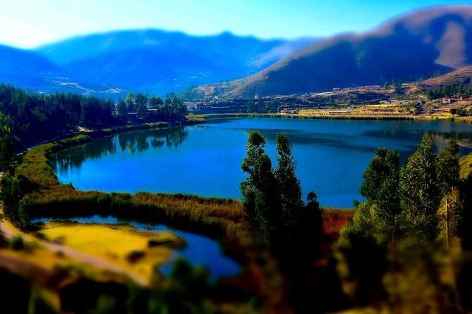 Day Tour Queswachaca Last Inca Golden Bridge - Customer Reviews