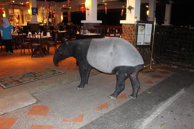 Day Tour Taman Negara With Waterfalls, Night Safari+ Night Walk - Tour Preparation