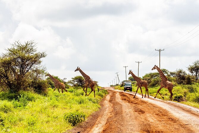 Day Tour to Amboseli National Park and Maasai Village - Cancellation Policy