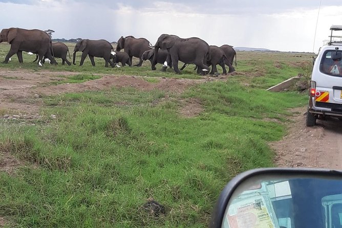 Day Tour To Amboseli National Park From Nairobi - Accessibility Considerations