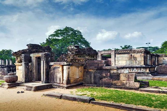 Day Trip To Anuradhapura Kingdom and Wilpattu Safari From Colombo - Wilpattu Safari Experience