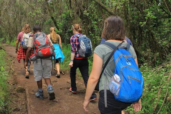 Day Trip to Kilimanjaro Hike to Mandara Hut - Important Safety Information