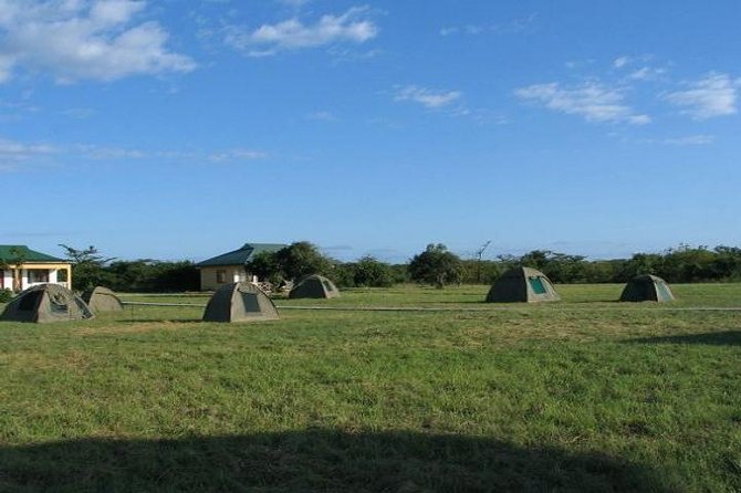 Day Trip to Saadani National Park- From Tanga City Tanzania - Frequently Asked Questions