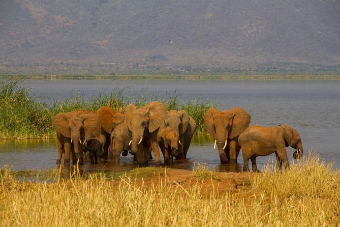 Day Trips COMBO With Materuni, Kikuletwa, Lake Jipe, Maasai Boma &Arusha N. Park - Maasai Cultural Experience
