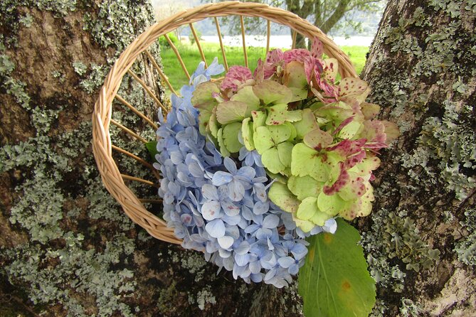 Decoration Class With Walk and Picnic Lunch at Lagoa Azul - Pricing and Reservation Information