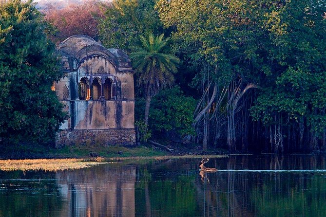 Delhi to Jaipur Transfer via Bharatpur and Ranthambore Park Visit - Cancellation Policy and Refunds