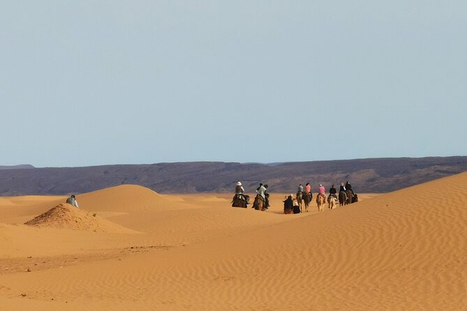Desert Circuit - Activity Details