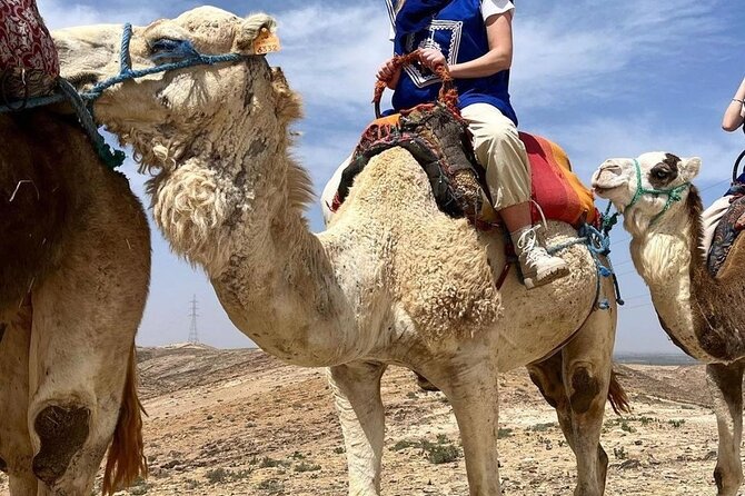 Dinner and Fire Show & Camel Ride - Booking Information