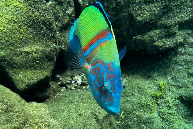 Discover Scuba Diving - Weather and Refund Policy