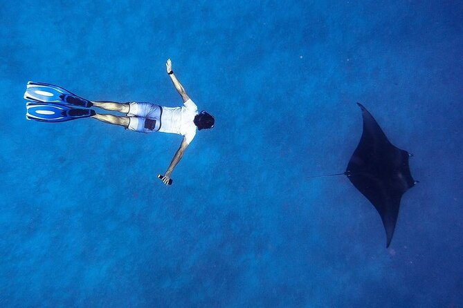 Discover South Ari Atoll - Full Day Tour From Male City - Experience