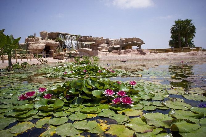 Discover the Amazing Park of CROCODILE - Price and Booking