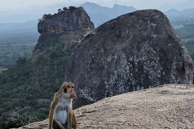 Discover the Essence of Sri Lanka - What To Expect