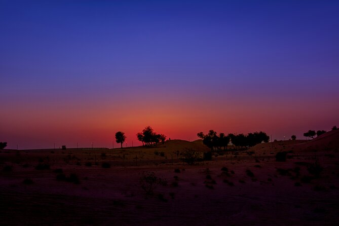 Doha Night Desert Safari Adventure - Tips for a Great Experience