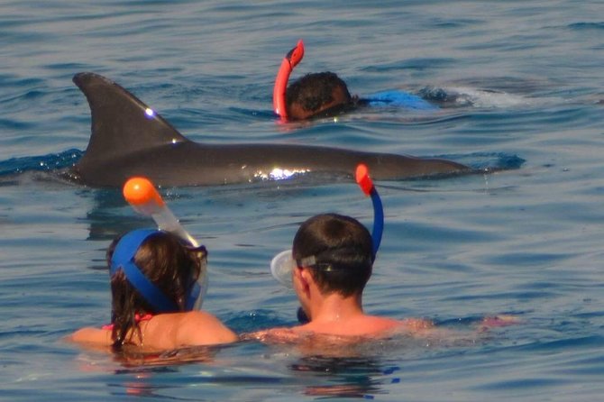 Dolphin House Royal Sea Trip With Lunch, Water Sport - Hurghada - Important Information