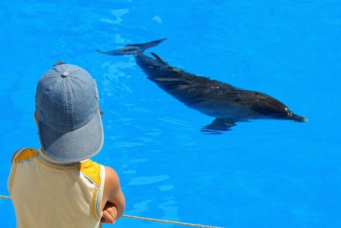 Dolphin House: Snorkel Adventure Tour From Hurghada - Included Activities