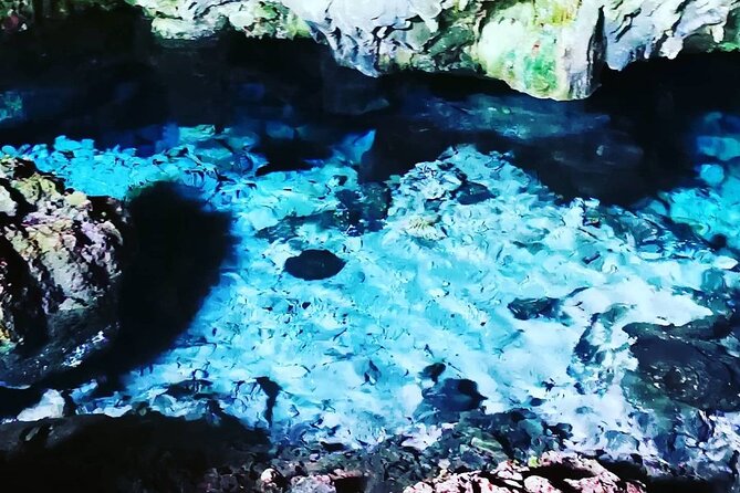 Dolphin Tour, Jozani Forest, Kuza Cave, Paje Beach,The Rock Restaurant, Kae Funk - Tour Highlights Brief