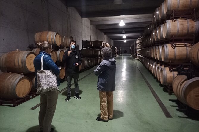 Douro Wine Route Experience, Full-Day From Porto - Price and Payment