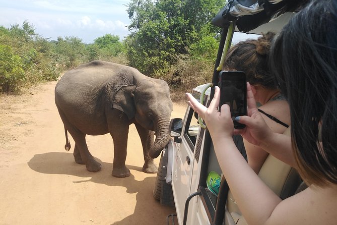 Down South Galle Tour - Expectations and Exclusivity