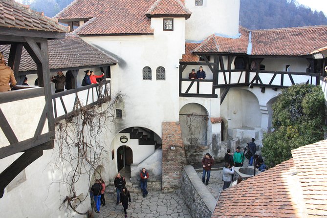 Dracula Castle and Peles Castle One Day Trip From Bucharest - Pricing and Availability