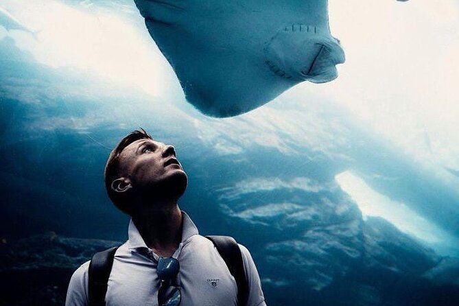 Dubai Aquarium and Underwater Zoo Tickets - Frequently Asked Questions