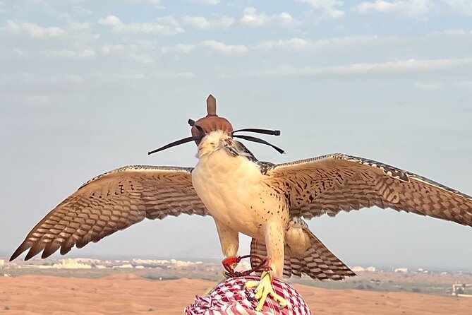 Dubai: Private Morning Desert Safari Falcon Camel & Sandboarding - Customer Reviews