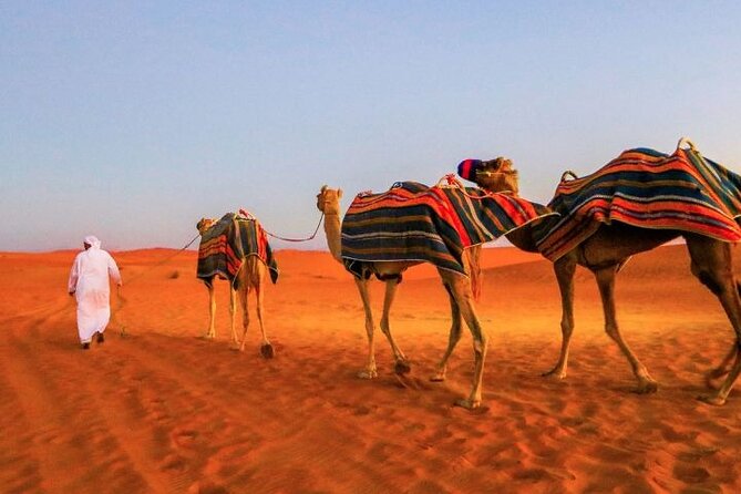 Dubai Red Dune Desert Safari With Dinner - Additional Activities Available