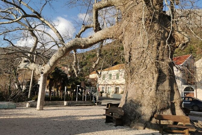 Dubrovnik Country and Ston Private Tour - Booking Policy