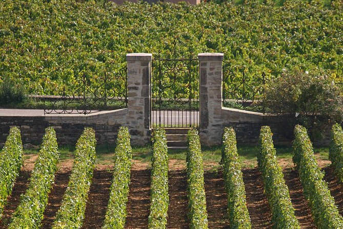 E-Bike Burgundy Tour With Tastings and Lunch From Beaune or Dijon - The Sum Up