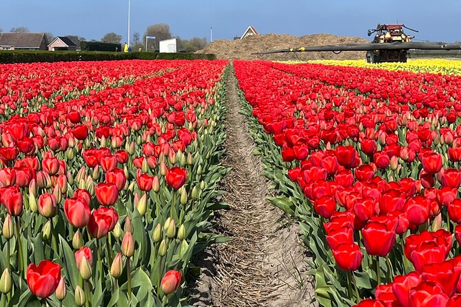 Enjoy the Tulips in a Landrover With a Local Guide - Highlights and Amenities