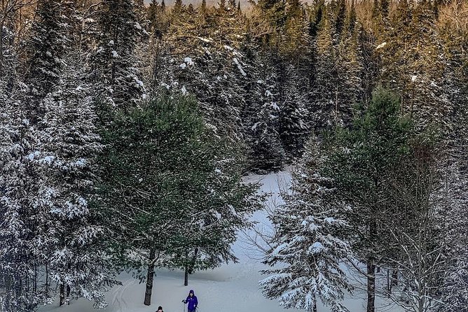 Escape to the Peaks: 2-Day Adventure in Bohemia National Park - Guided Tours