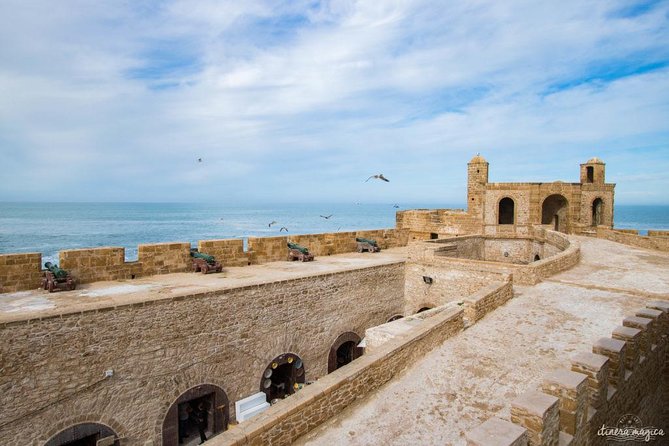 Essaouira Coastal Town in Eastern Morocco From Marrakech Day Trip - Infant and Animal Policies