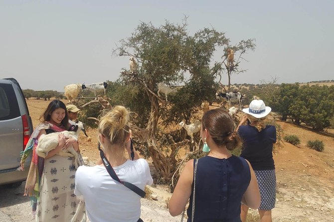 Essaouira Group Excursion - Travel Tips