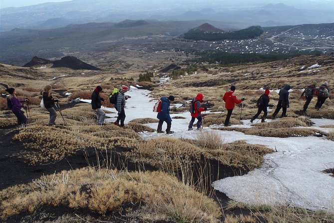 Etna Trekking Private Day Tour With Options - Pricing and Reservation Details