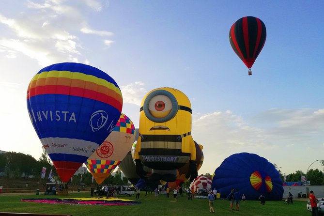 European Balloon Festival on , 10th, 11th, 12th & 13th July - Booking Details