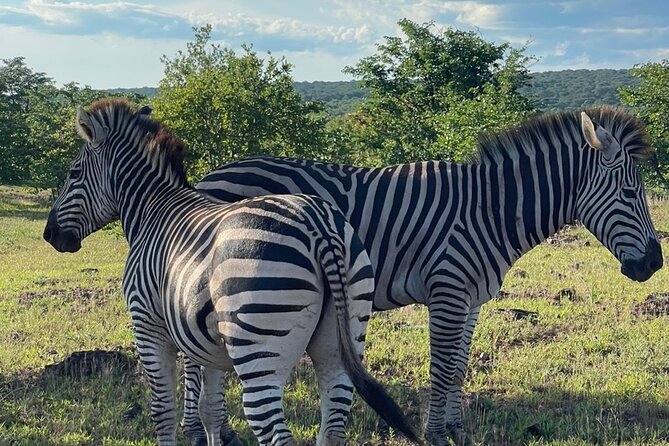 Evening Game Drive With Bush Dinner - Cancellation Policy