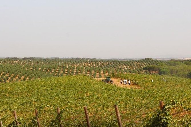 Evora City Tour, Museum City - Additional Tour Information