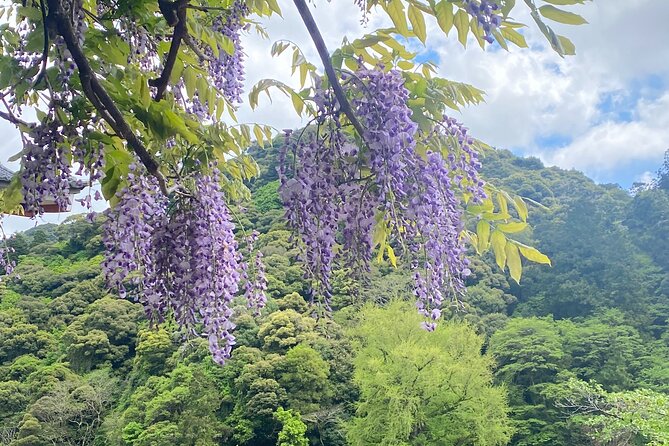 Exclusive Luxury Day Tours Serene Nara - Frequently Asked Questions