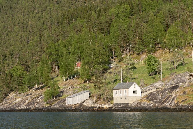 Exclusive & Private Hardangerfjord RIB Safari Tour From Ulvik - Additional Information