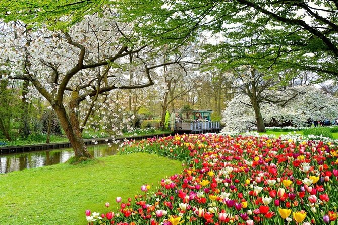 Exclusive Private Keukenhof and Tulip Fields Tour - Additional Information for Visitors
