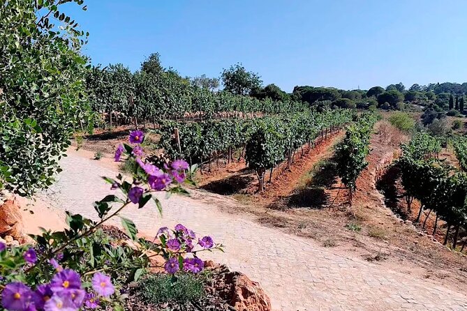 Exclusive Wine Tasting Experience in Porches (Algarve) - Frequently Asked Questions