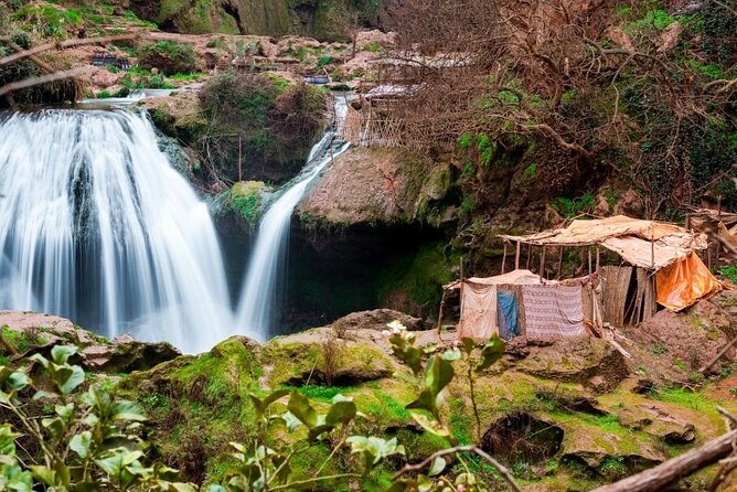 Excursion to the Ouzoud Waterfalls in the Atlas Mountains From Marrakech - Experience Highlights