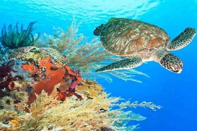Experience the Ultimate Full-Day Boat Trip in Hurghada - Itinerary Overview