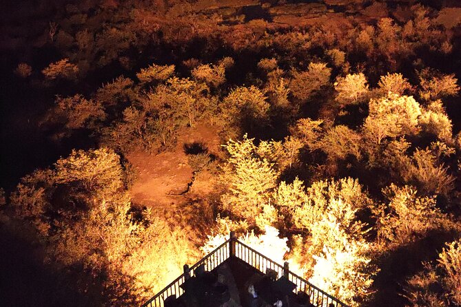 Experience Victoria Falls at Night With Baobab Juice Tasting - Price Details